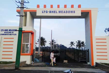 LTG Meadows